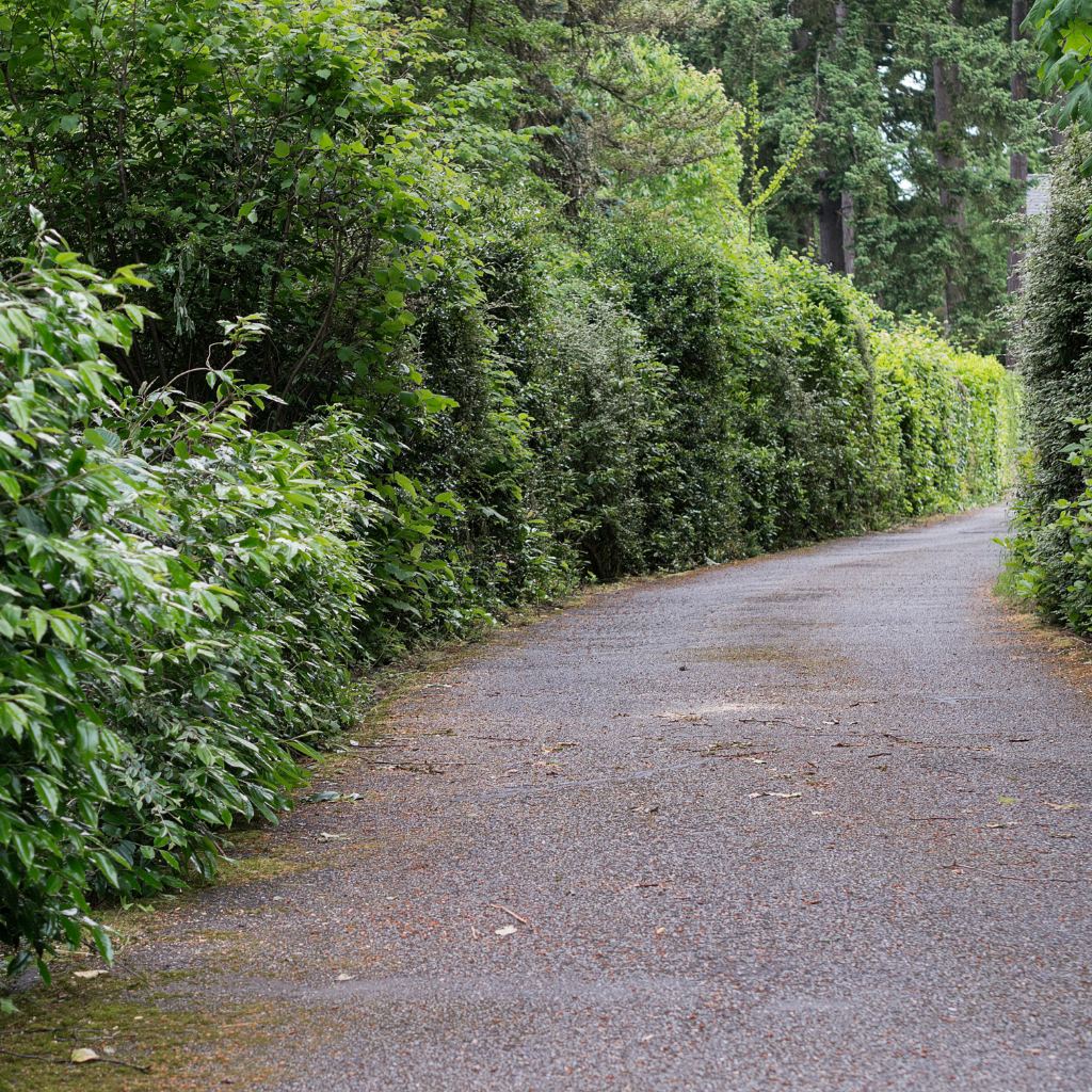 Quality Tarmaced Driveway by WCD in Birkenhead